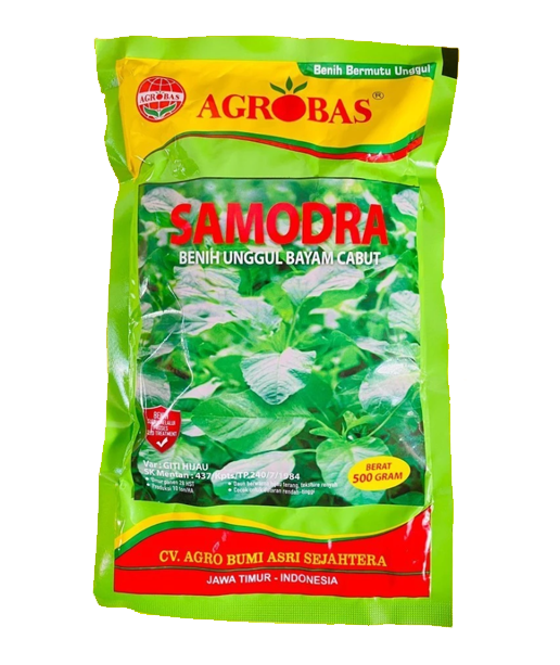 Benih Bayam Cabut Samodra